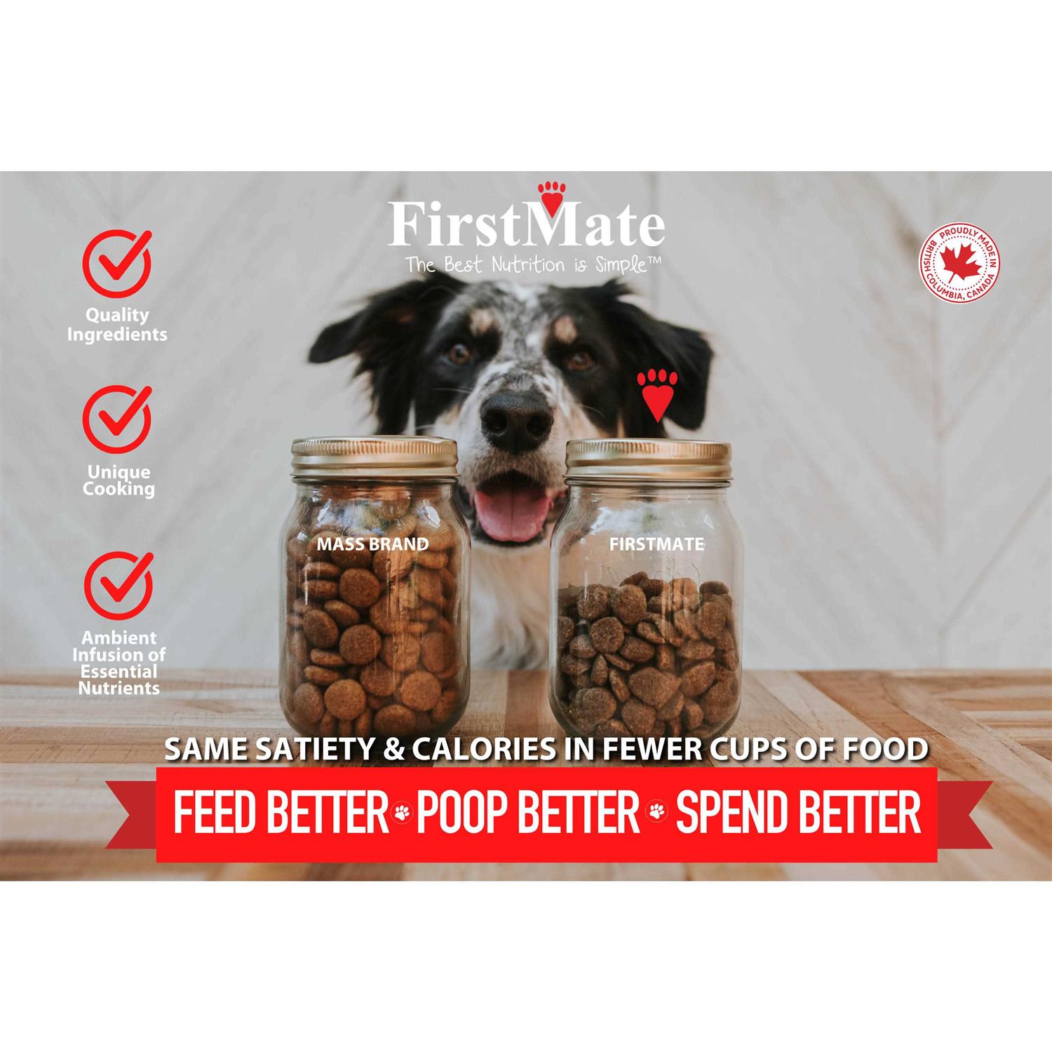 FirstMate Grain Friendly Cage Free Duck &amp; Oats Dry Dog Food - Pet Supplies online store