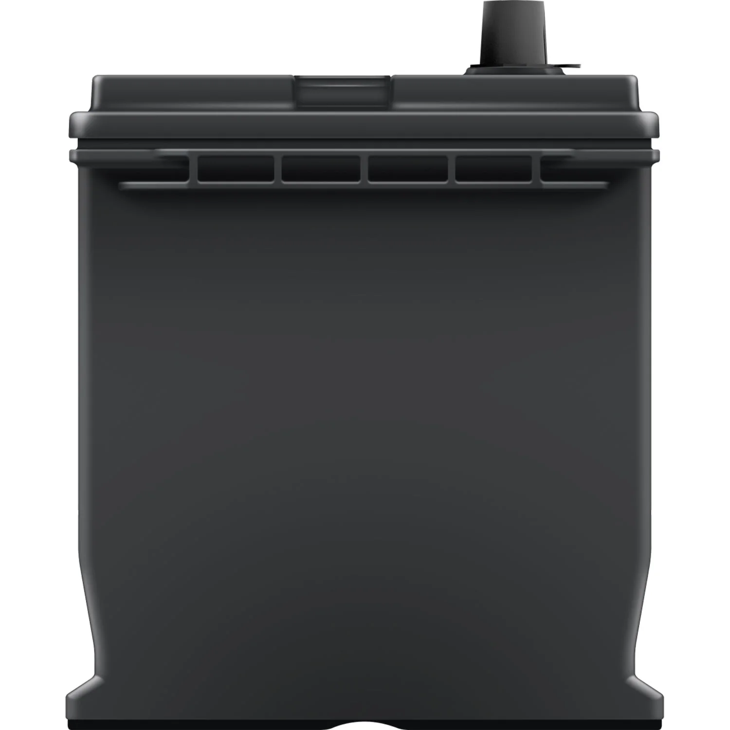 EverStart Maxx Lead Acid Automotive Battery, Group Size 124R 12 Volt, 700 CCA