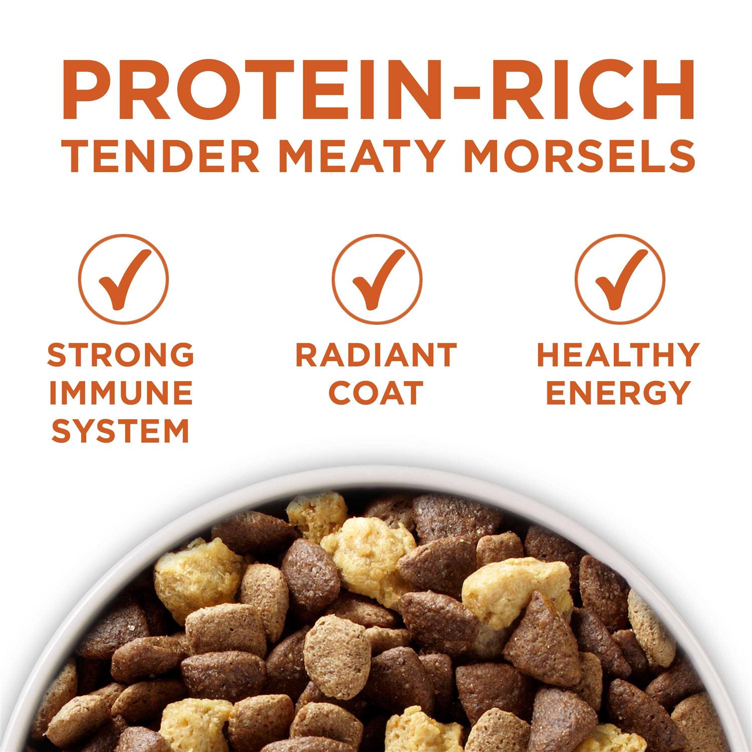 Purina ONE Plus Healthy Weight High Protein Formula Dry Dog Food - Pet Supplies online store