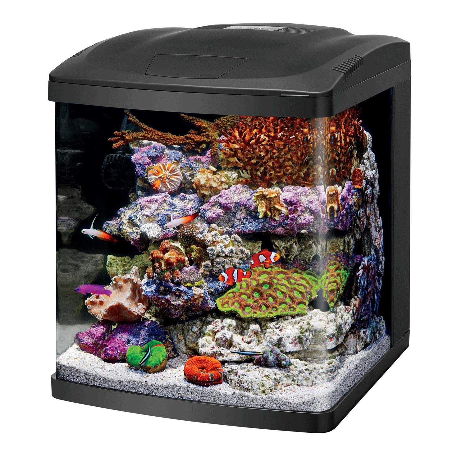 Coralife LED BioCube Aquarium Fish Tank Kit, 16 Gallon - Pet Supplies online store