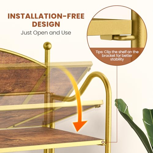 Folding Bookshelf No Assembly, 5 Shelf Black Folding Bookcase, Industrial Tall Metal Collapsible Corner Book Shelf with Storage Shelves for Bedroom, Living Room, Home Office Organization
