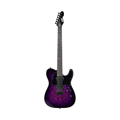 ESP LTD TE-200DX Electric Guitar - Purple Burst