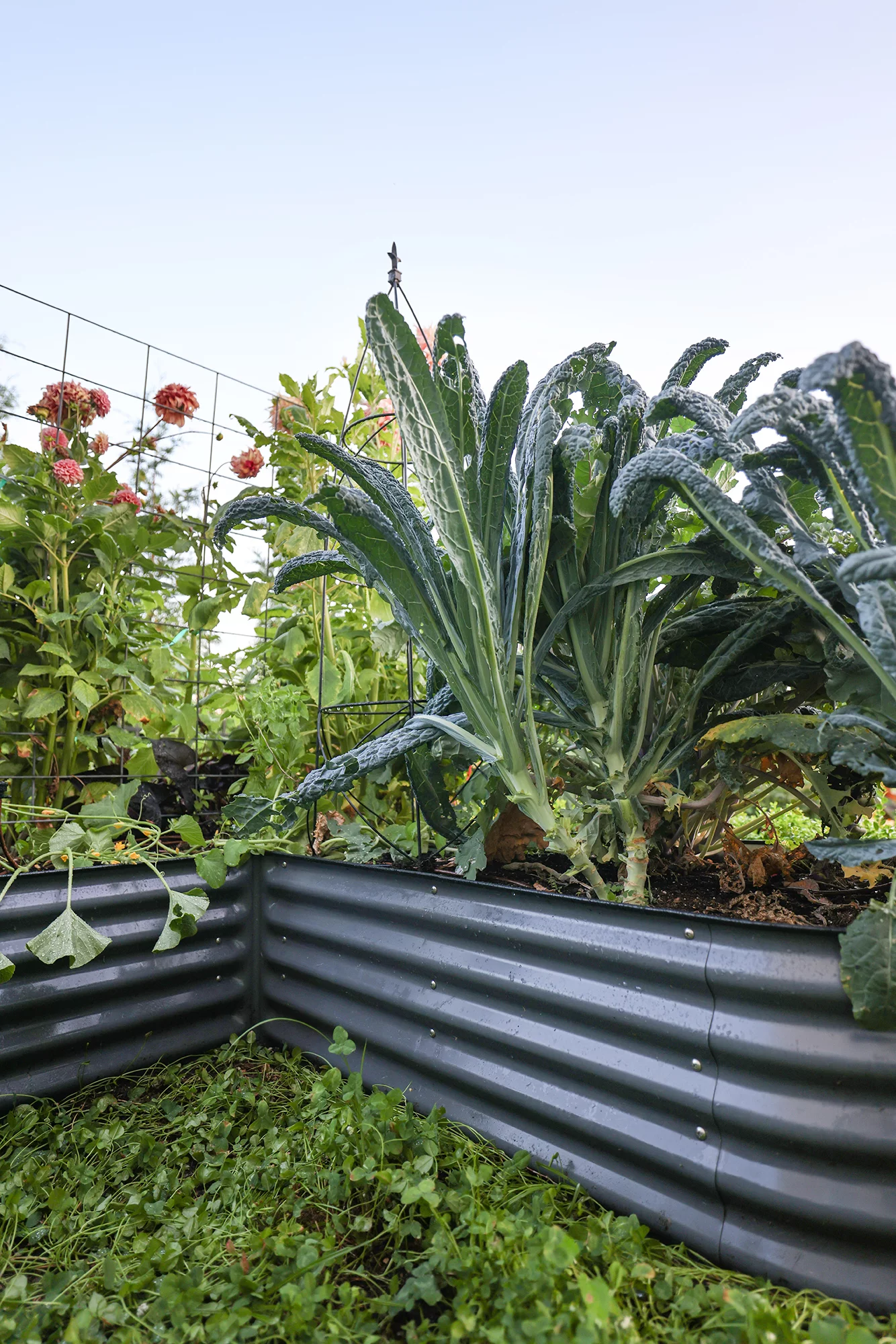VEGEGA 17" Tall L-Shaped Modular Corrugated Metal Raised Garden Beds Large Size - Grey