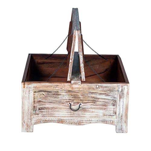 Whitewashed Trunk Coffee Table | Maadze