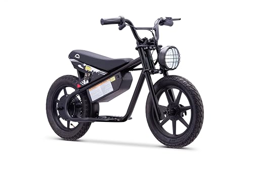 Droyd Weeler Electric Mini Bike for Kids, 200W Motor w 2 Speed Settings (10 Mph & 6 Mph), 24V 8Ah Battery for 8 Miles Range, Rear Disc Brake, and 15" Tires, Safe & Fun E Bike for Ages 6+