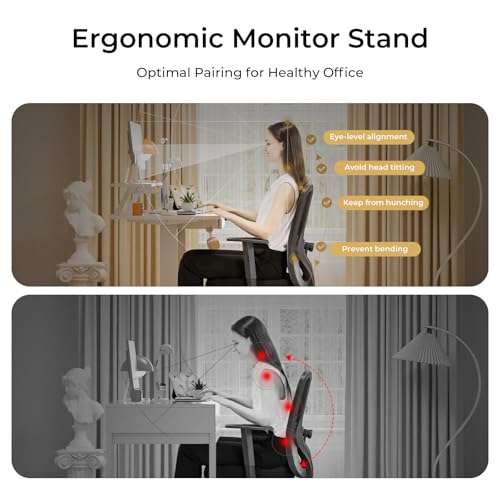 COMHOMA Electric Standing Desk with Drawers, 48 x 24'' Sit Stand up Desk with Monitor Stand, Laptop Stand, Height Adjustable Ergonomic Home Office Computer Desk with Memory Preset Controller (Black)