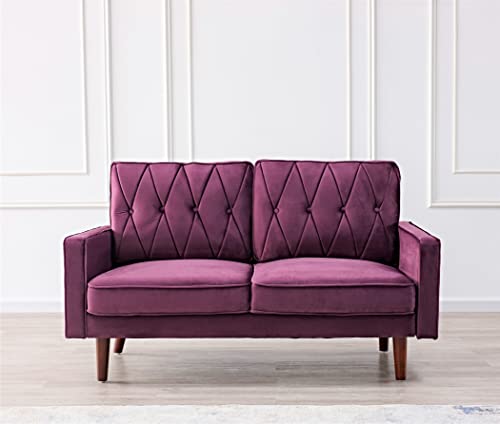 Modern Style Tufted Velvet Couch for Living Room with Soft Fabric Upholstery and Solid Wood Frame, 57.5'' Wide Loveseat, EGGPLANT