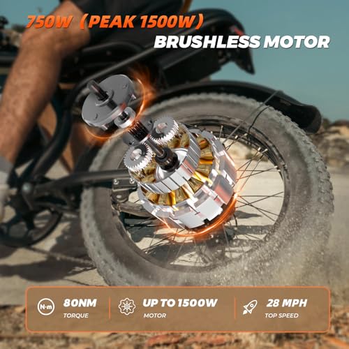 Electric Bike for Adults - K6 20 x 4 Inch Fat Tire, 750W/Peak 1500W Motor, 48V15AH Detachable Battery, 4 Riding Modes Electric Dirt Bike, 7 Speed Electric Motorcycle,20MPH UL 2849 Certified