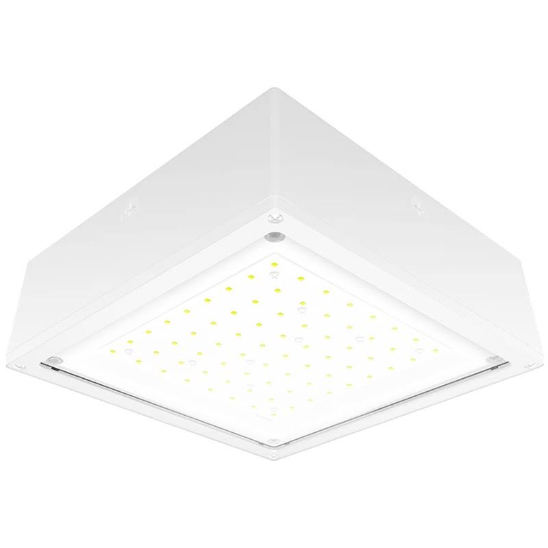 RAB Vandalproof Canopy 20W Warm LED 120-277V w/ Flat Lens White