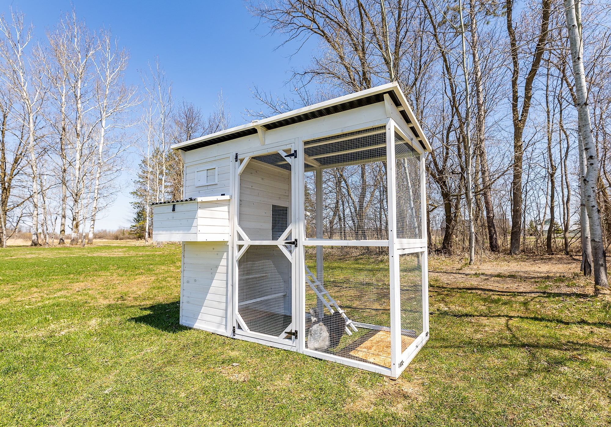 Zylina Modern Walk-In Hen House - Chicken Coop