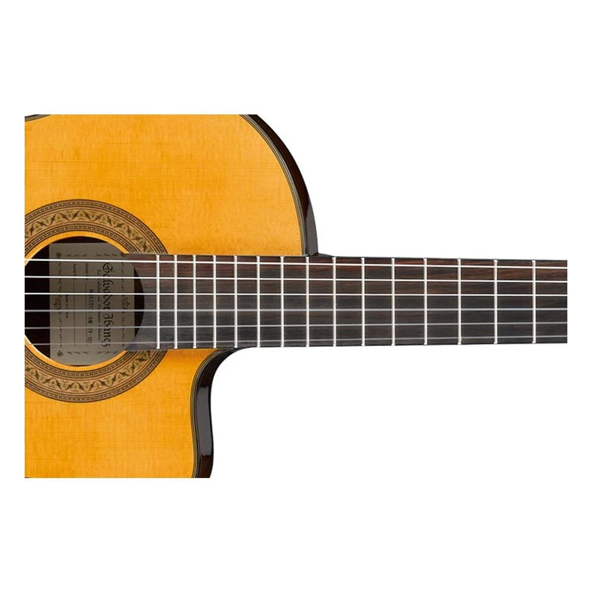 Ibanez GA5TCE Classical Thinline Acoustic-Electric Guitar