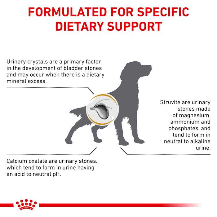 Royal Canin Veterinary Diet Canine Urinary SO Dry Dog Food - Pet Supplies online store