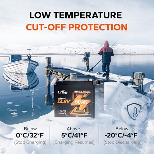 LiTime 12V 100Ah LiFePO4 Battery BCI Group 31 Lithium Battery Built-in 100A BMS, Up to 15000 Deep Cycles, Perfect for RV, Marine, Home Energy Storage