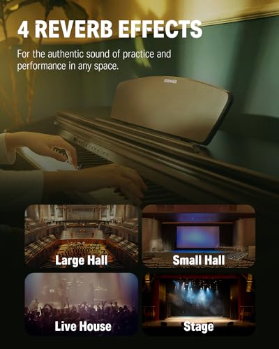 Donner DDP-300 Digital Piano with 88 Graded Hammer Action Weighted Keys, Record, Bluetooth, 10 Voices, 4 Reverb, Speakers, Professional Full Fize Key Keyboard Electric Dark Rose