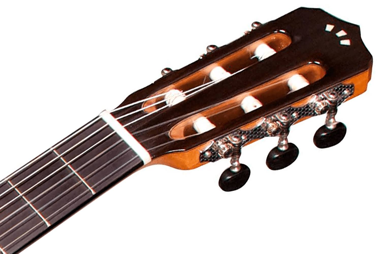 Cordoba Fusion 14 Rose Acoustic-Electric Classical Guitar