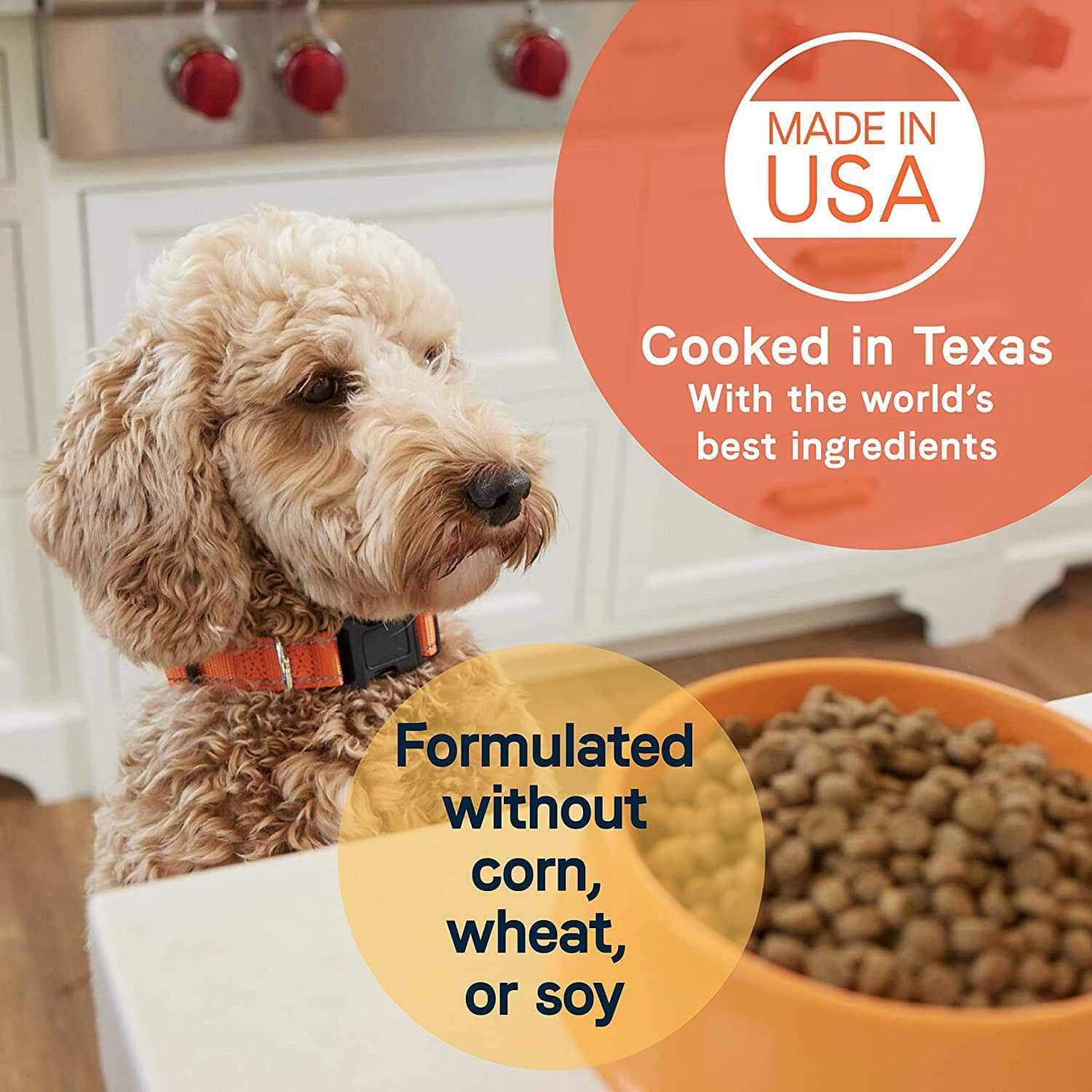 Canidae All Life Stages Dry Dog Food Lamb Meal &amp; Rice - Pet Supplies online store