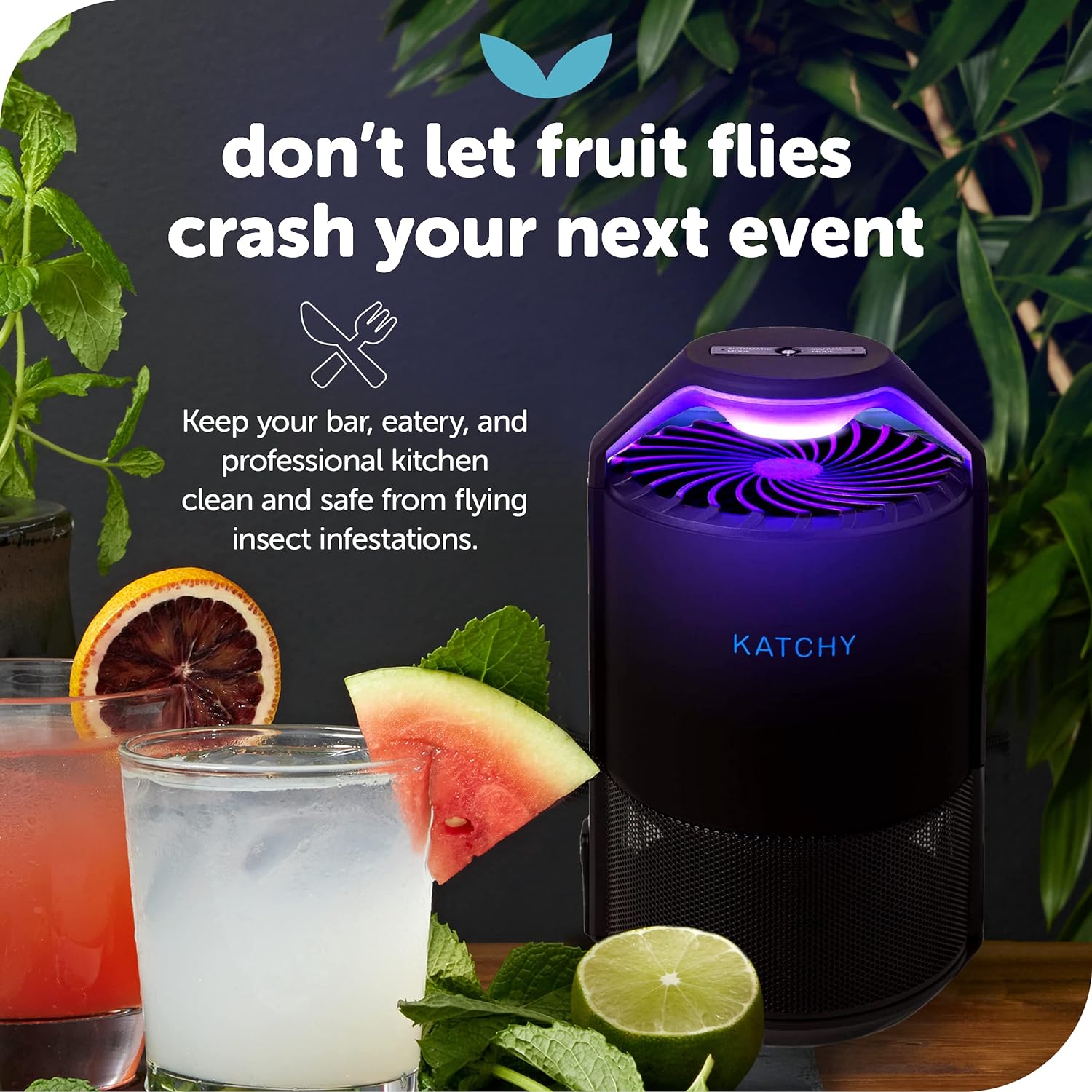 Katchy Automatic Indoor Insect and Flying Bugs Trap, Fruit Fly Gnat Mosquito Killer with UV Light Fan, Sticky Glue Boards, No Zapper, Light Sensor (Black) Pack of 2