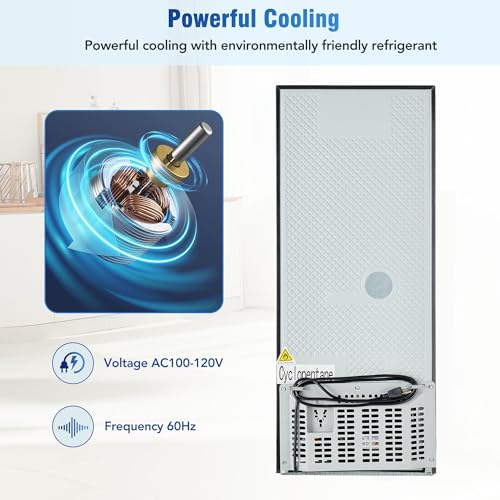 French Door Refrigerator with Dual Zone, 4.5 cu ft Fridge and 1.2 cu ft Freezer, 7 Temp Settings, 45 dB, Stainless Steel