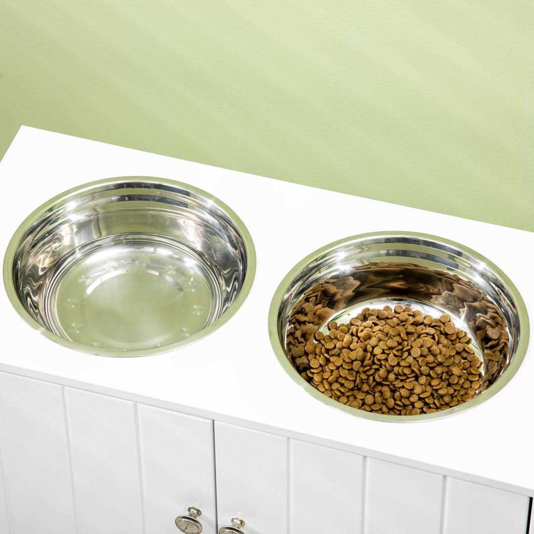 PawHut Large Elevated Dog Bowls with Storage Cabinet Containing Large 44L Capacity - Pet Supplies online store