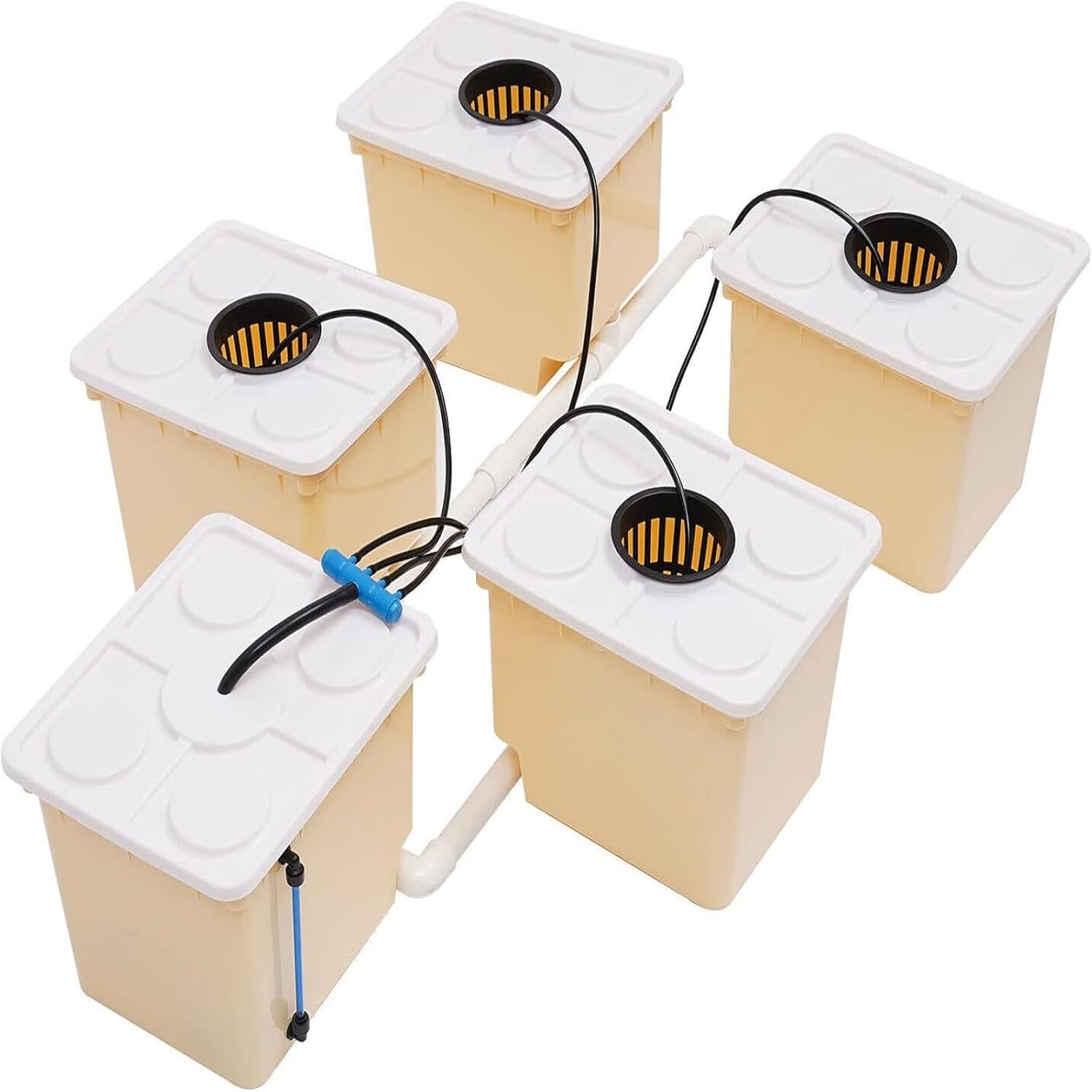 DWC Hydroponics System, 2.91 Gallon Deep Water Culture Growing System with 5 Sites Dutch Buckets and Lids, Recirculating Hydroponic Planter Kit for Cultivating Sorrel Tomatoes Peppers