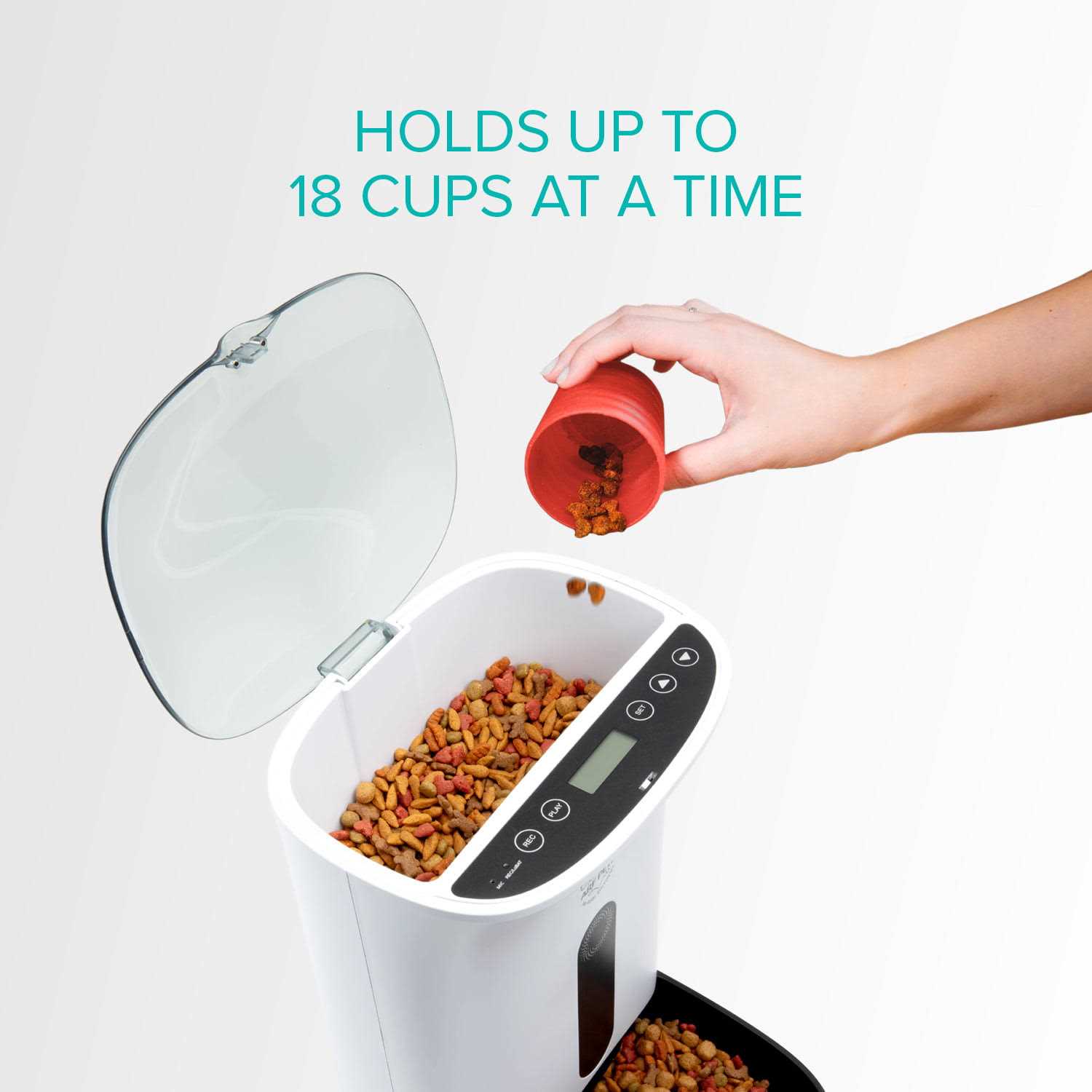 Arf Pets Automatic Pet Feeder Food Dispenser for Dogs - Pet Supplies online store