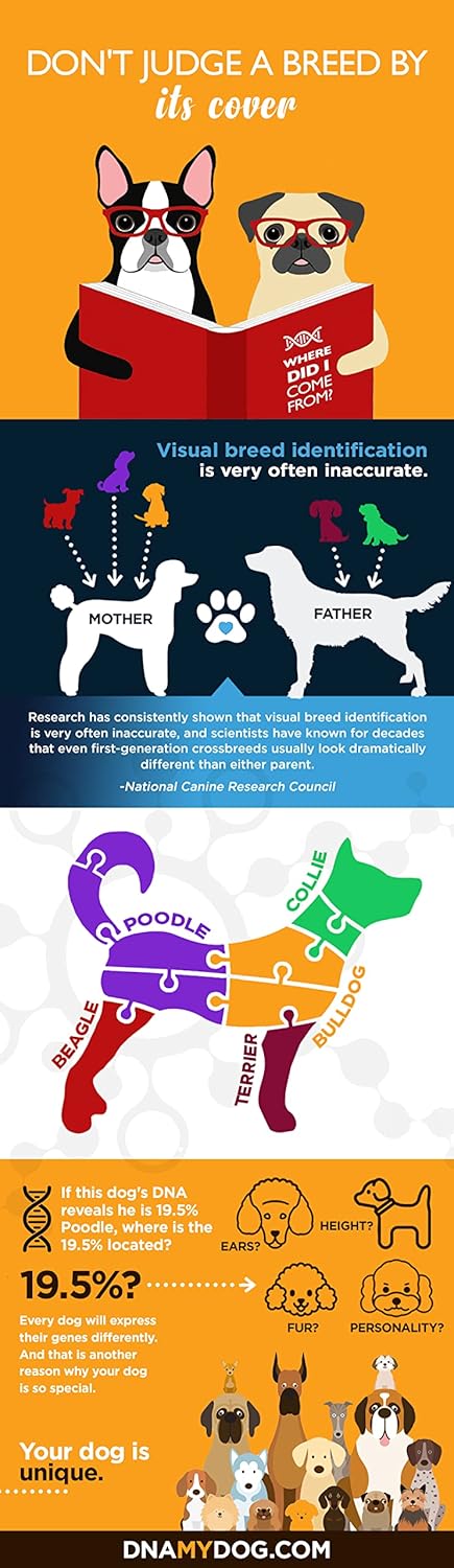 Dna My Dog Canine Breed Identification Test