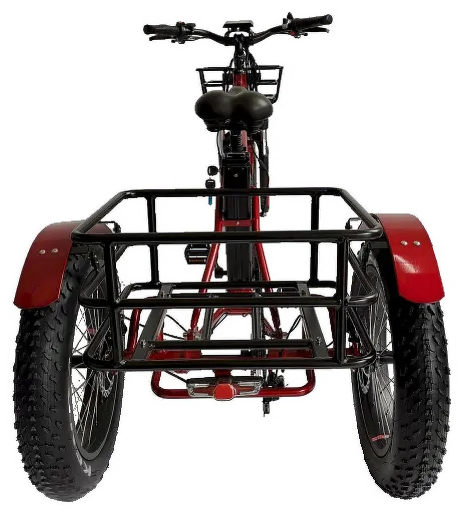 Fat Tire Three-Wheel Bike Electric Snow Trike for Adults