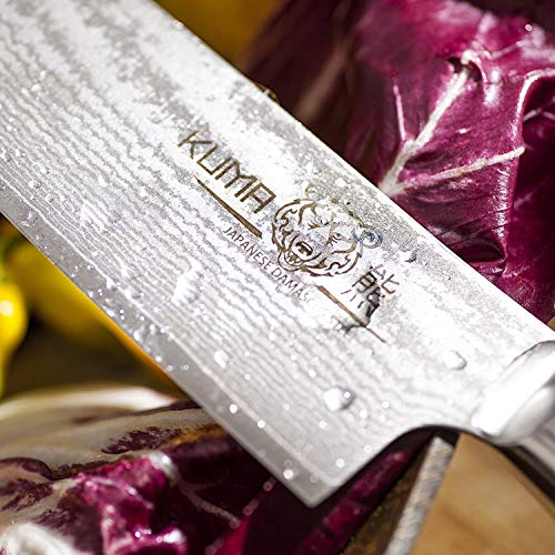 KUMA Professional Damascus Knife - 8 Inch Japanese Chef Knife, AUS10 Core - Corrosion And Stain Resistant - G10 Handle & Sheath Made Of Hardened Carbon steel