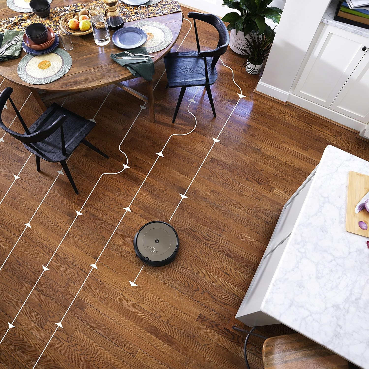 iRobot Roomba i1+ (1552) Wi-Fi Connected Self-Emptying Robot Vacuum, Ideal for Pet Hair, Carpets