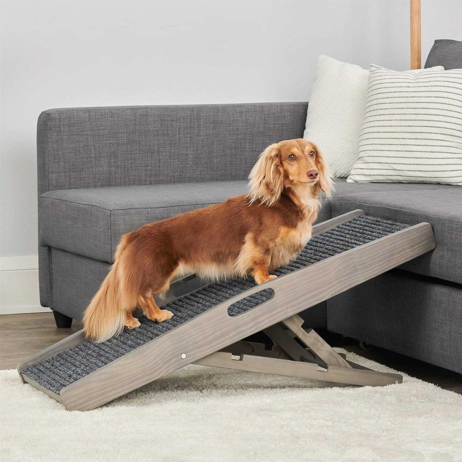 EveryYay Rise &amp; Climb 39.37 x 15.75 x 3.94 Indoor Pet Ramp - Pet Supplies online store