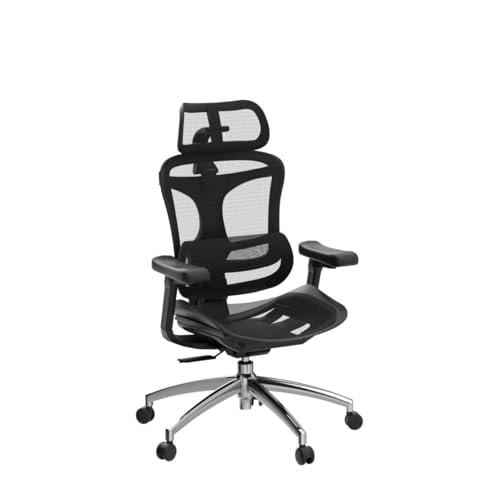SIHOO Doro C300 Ergonomic Office Chair with Ultra Soft 3D Armrests, Dynamic Lumbar Support for Home Office Chair, Adjustable Backrest Desk Chair, Swivel Big and Tall Office Chair, Computer Chair Grey
