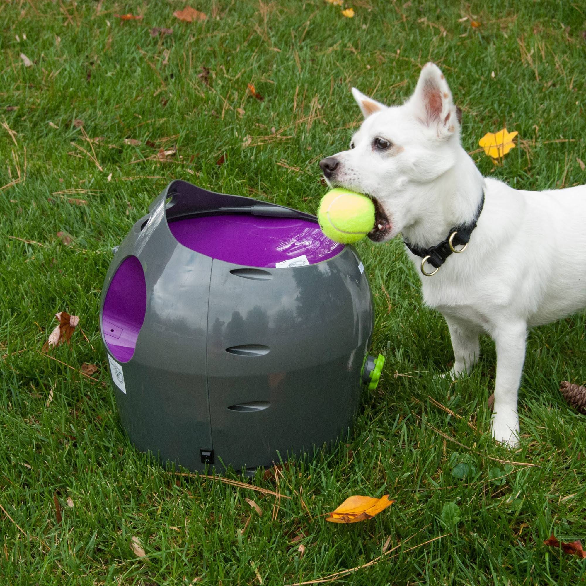 PetSafe - Automatic Ball Launcher
