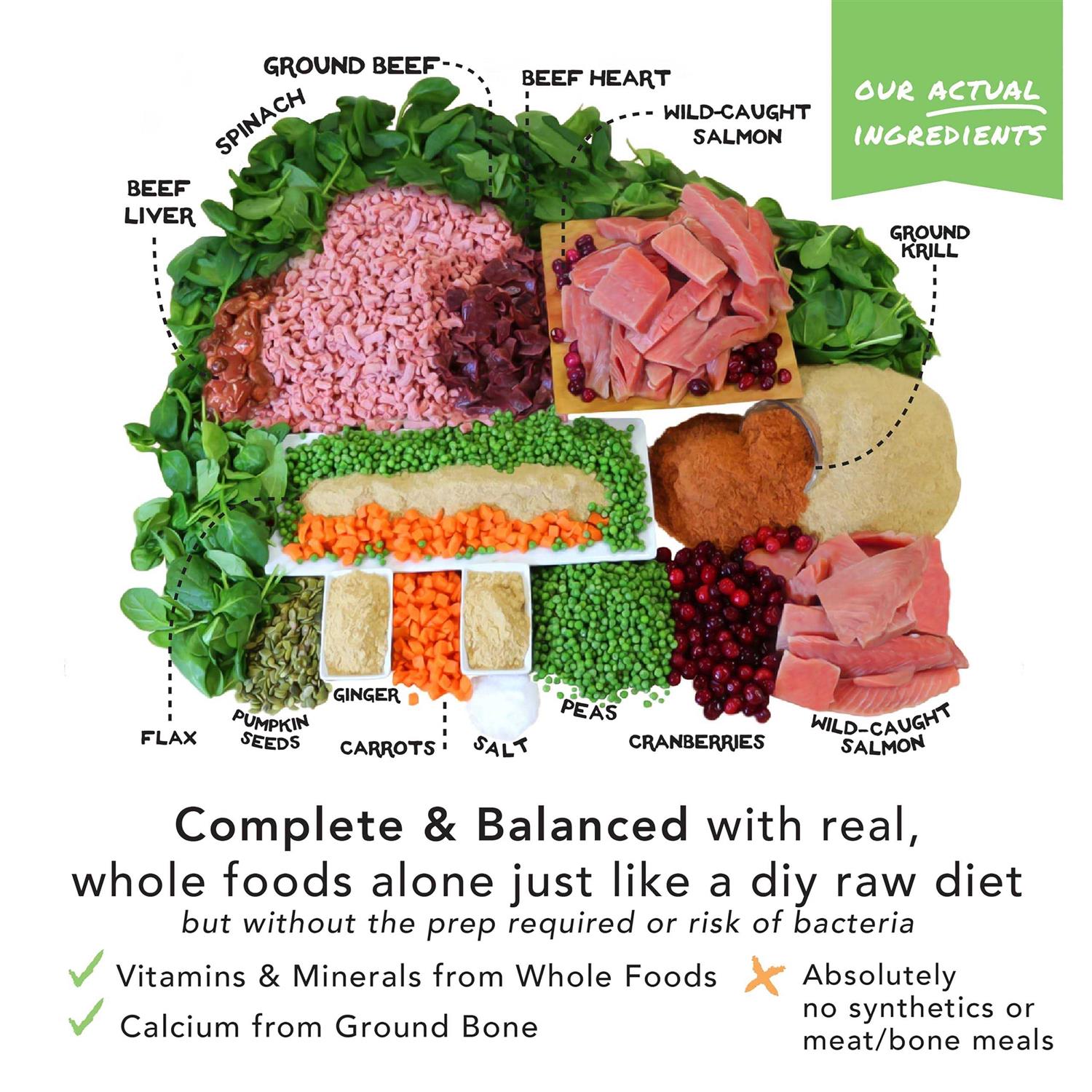 The Simple Food Project Freeze Dried Beef &amp; Salmon - Pet Supplies online store