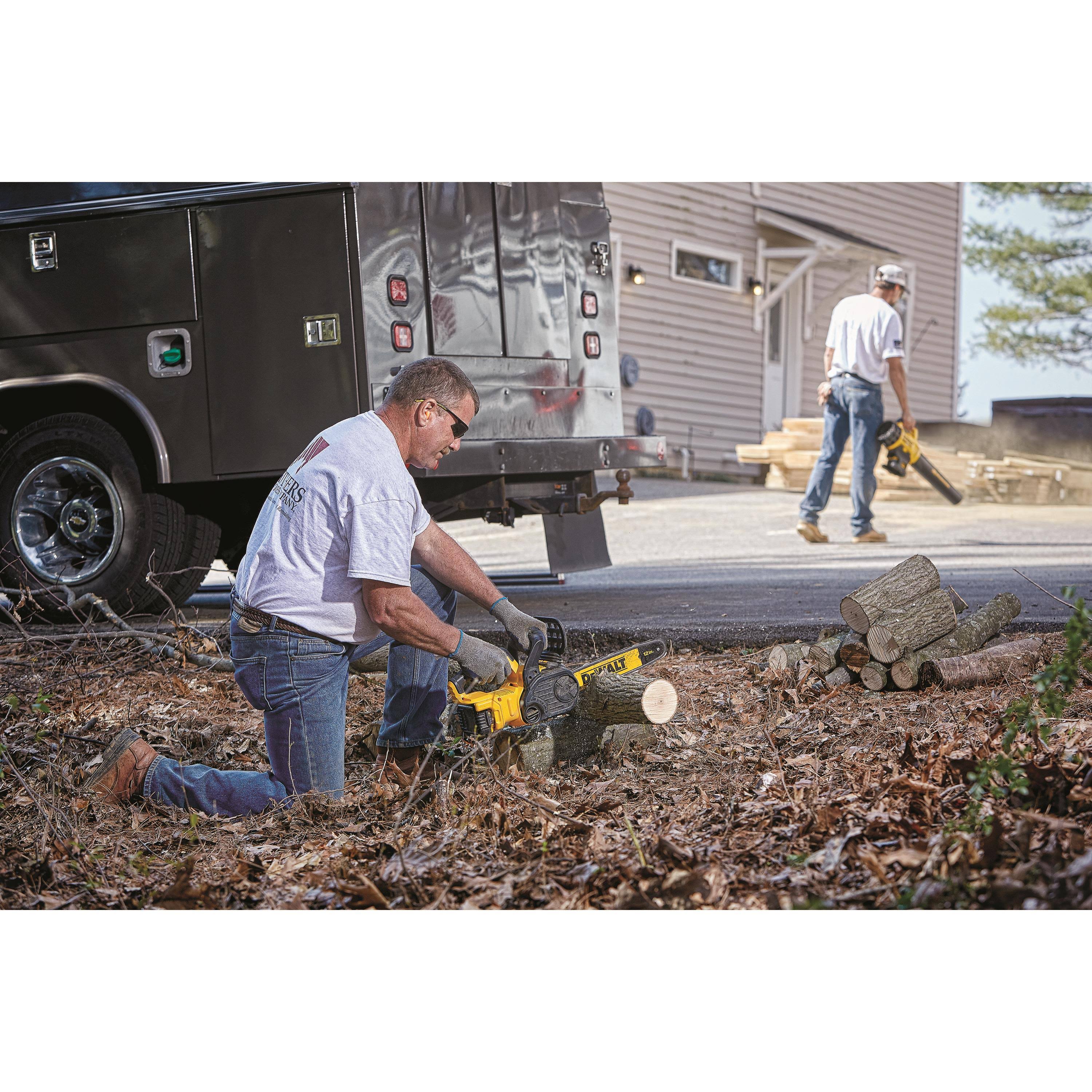 20-Volt Max Xr Compact 12-Inch Cordless Chainsaw, Tool Only