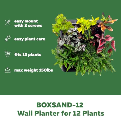 BOXSAND-12 (24"x26") Living Wall - Wall Planter, Vertical Garden for 12 Plants, Indoor/Outdoor, 2 Screws Install (White) with Black Square Pots