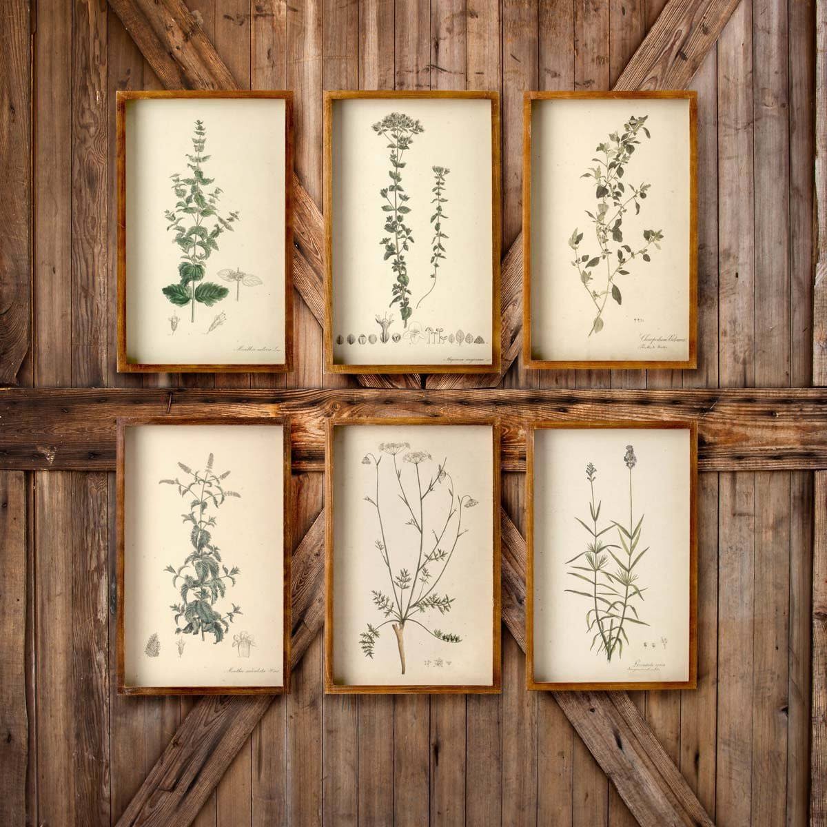Collected Botanical Prints, Set of 6