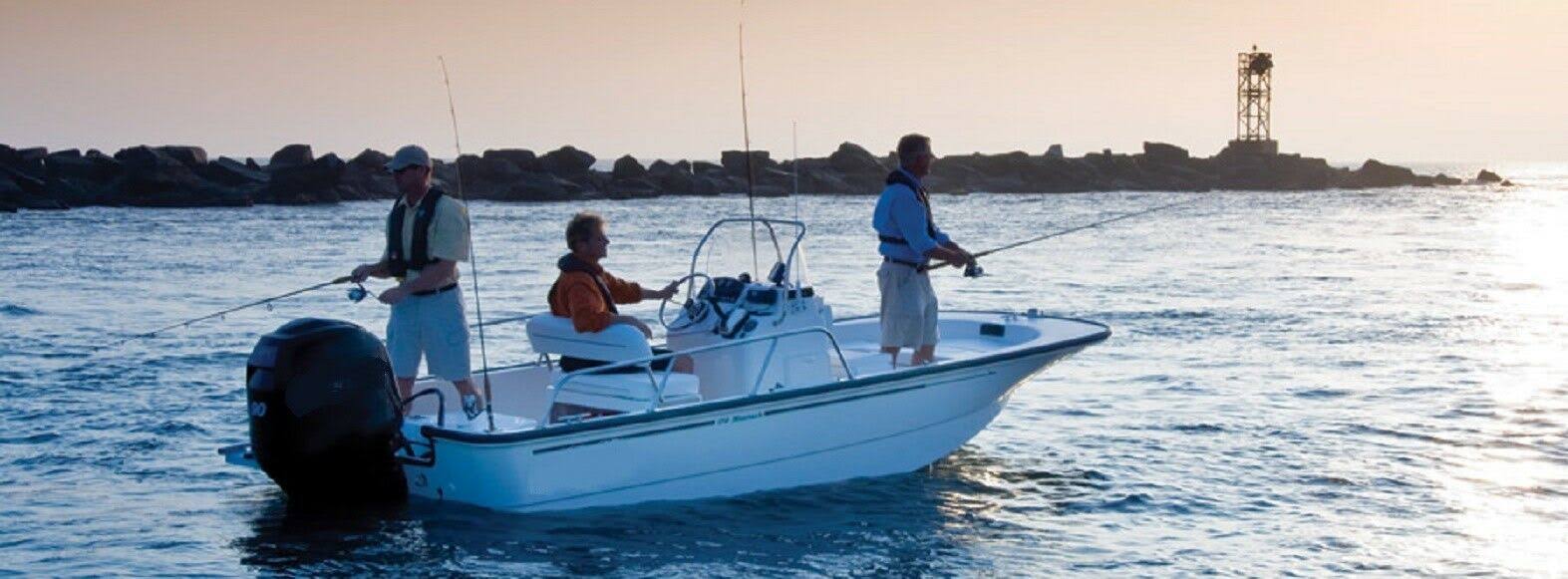 Lowrance Power Cable