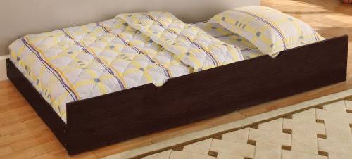 Furniture of America Sozier Twin Trundle with Casters in Espresso