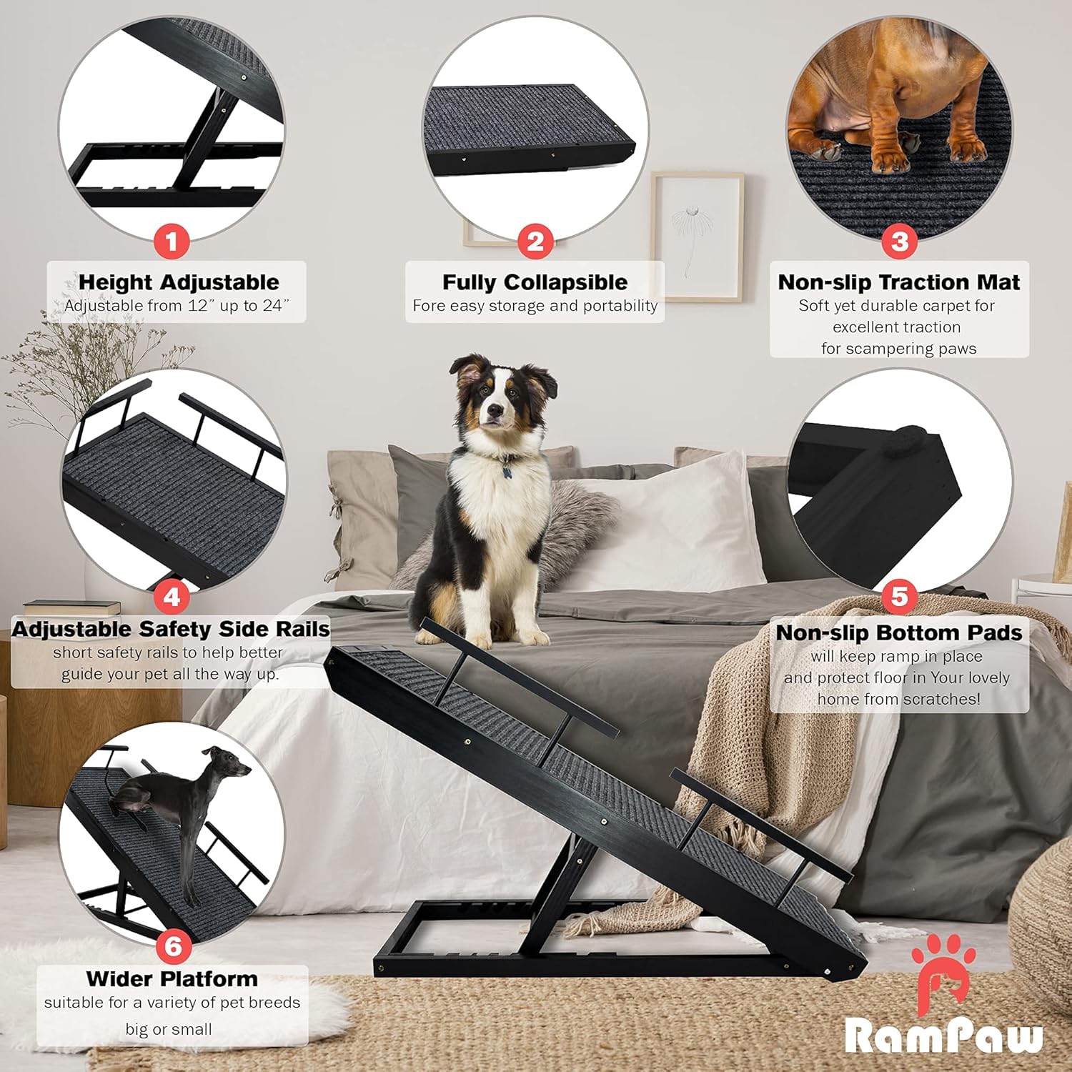 Rampaw Adjustable Pet Ramp for Small Dogs and Cats - for Couch or Bed with Paw Non Slip Traction Mat, Adjustable Height from 12 to 24 in - Sturdy, with Safety Side Rails, Dog Training Manual (Black)