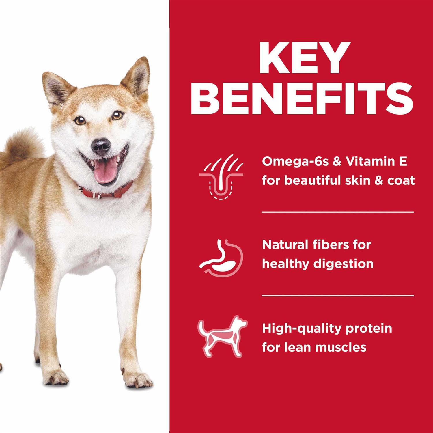 Hill's Science Diet Adult No Corn, Wheat or Soy Chicken Dry Dog Food - Pet Supplies online store
