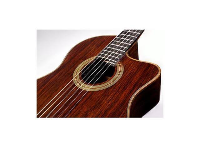 Cordoba Fusion 14 Rose Acoustic-Electric Classical Guitar