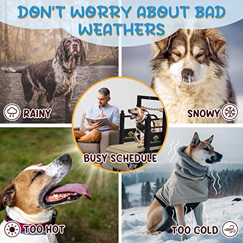 PawPaw's Large & Medium Dog Treadmill - Indoor & Outdoor Use, Up to 220 lbs, Slatmill Design with Brake