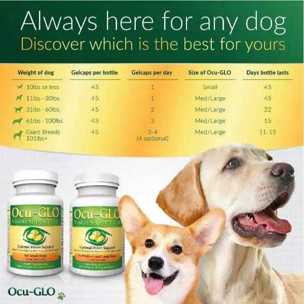 Ocu-gLO for Medium to Large Dogs - Pet Supplies online store