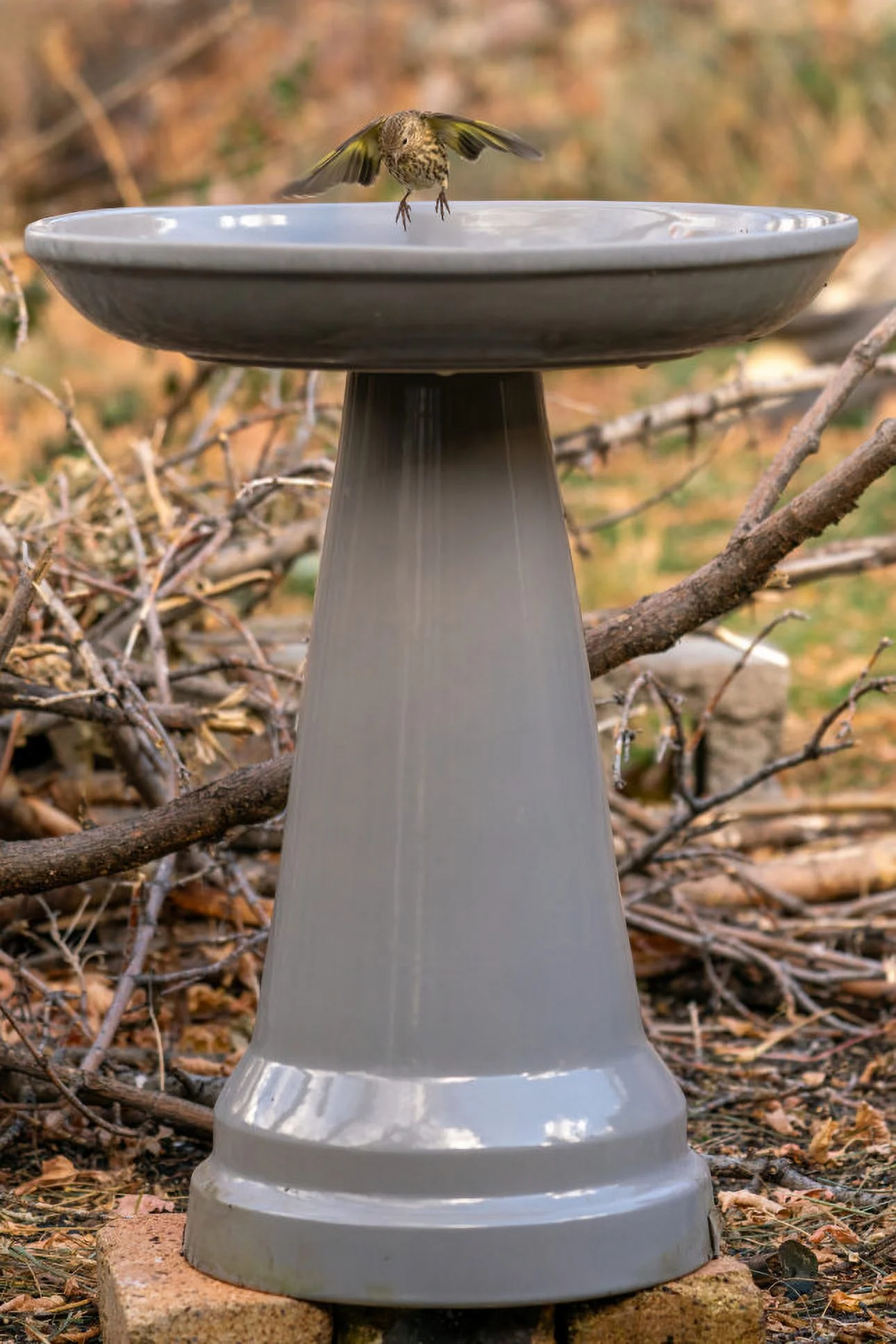 Ohio Stoneware Clay Bird Bath with Locking Top, Gray
