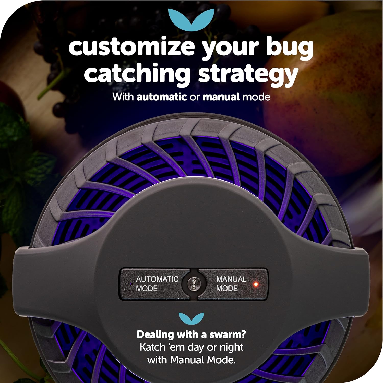 Katchy Automatic Indoor Insect and Flying Bugs Trap, Fruit Fly Gnat Mosquito Killer with UV Light Fan, Sticky Glue Boards, No Zapper, Light Sensor (Black) Pack of 2
