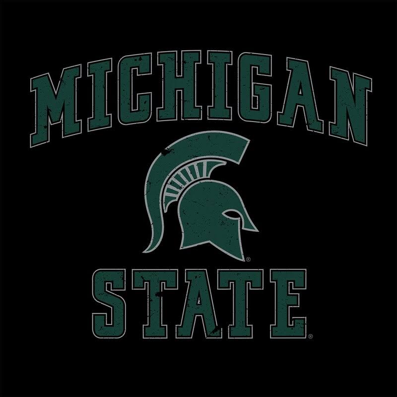 Michigan State Spartans Distressed Universal Seat Cover 3435619