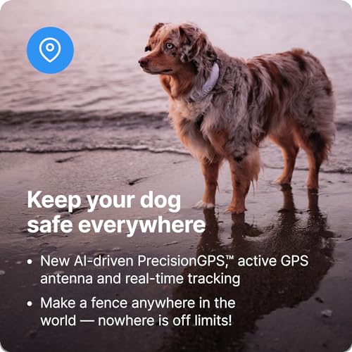 Halo Collar 3 - GPS Dog Fence - Multifunction Wireless Dog Fence & Training Collar with Real-Time Tracking & GPS - Waterproof, Create Up to 20 Wireless Fences