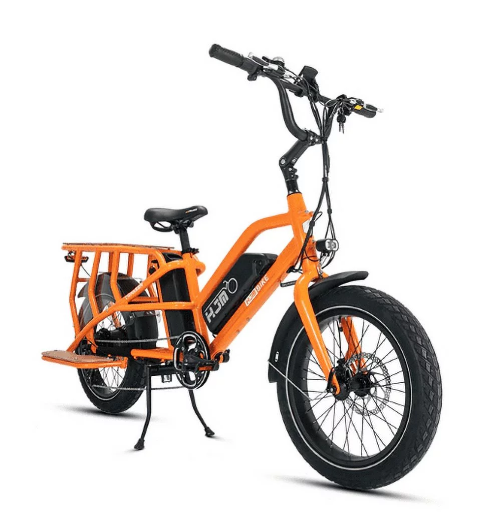 Electric Bike for Adults, 750W Motor 48V 15AH Removable Battery, 20" Tire Big Back Seat E-Bike with Pedal - Curated Treasures Market