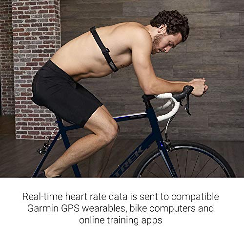Concept2 RowErg Indoor Rowing Machine with PM5 Monitor | Device Holder, Adjustable Air Resistance, Easy Storage with Garmin HRM-Dual Heart Rate Monitor and Signature Series Resistance Band