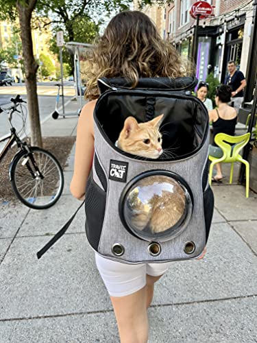 Fat Cat Backpack Carrier - Airline Approved Cat Carrier with Space Capsule Bubble for for Small Cats, Kitten - Premium Stray Cat Carrier Backpack for Outdoor, Travel, Hiking, Pet Supplies